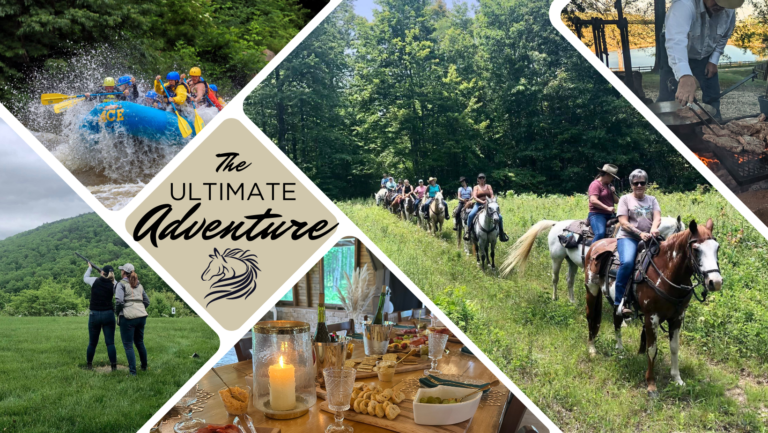 Shenandoah Valley Virginia Horse Trail Rides – North Mountain Outfitter ...